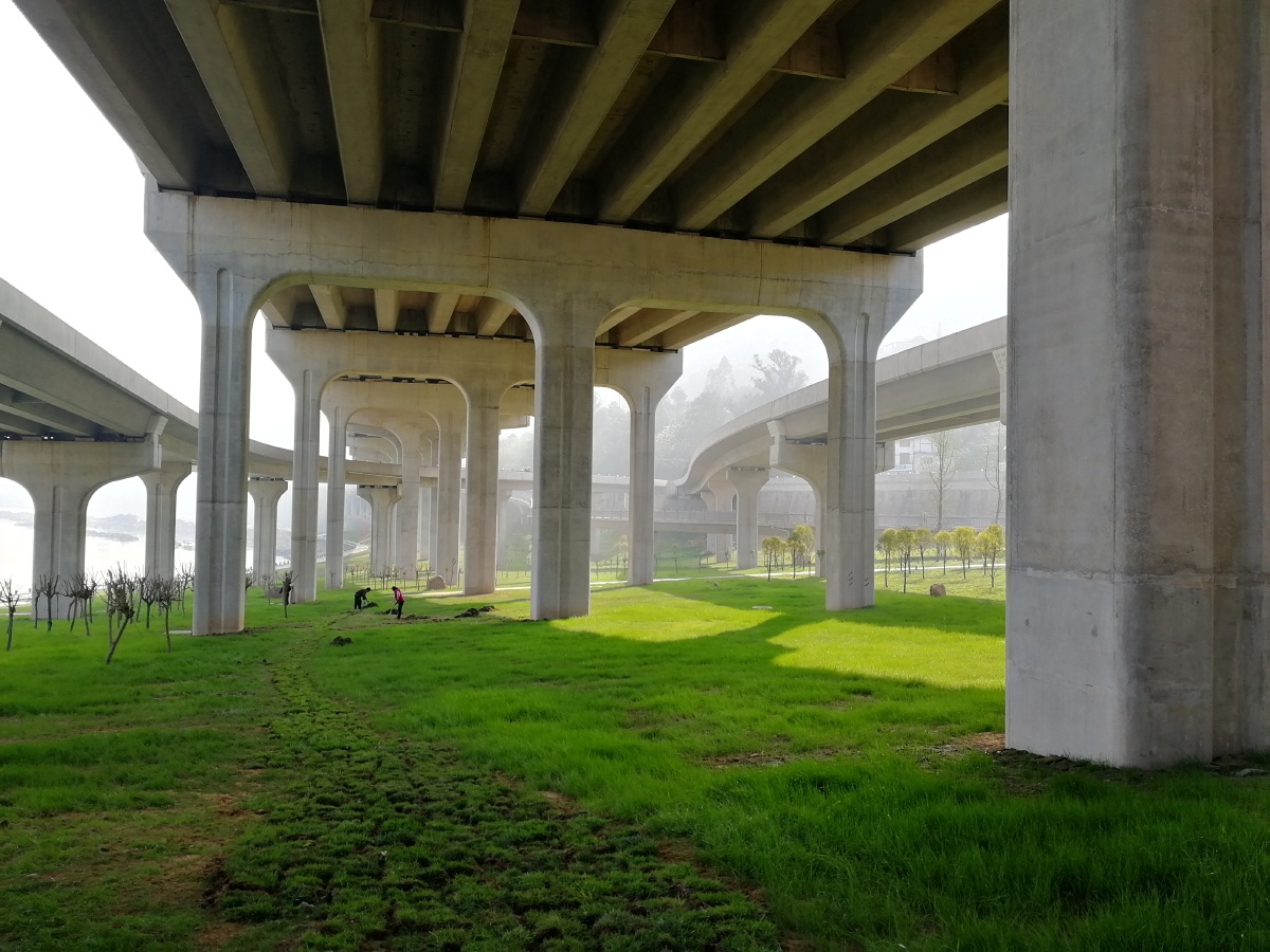 立交桥下的阳光