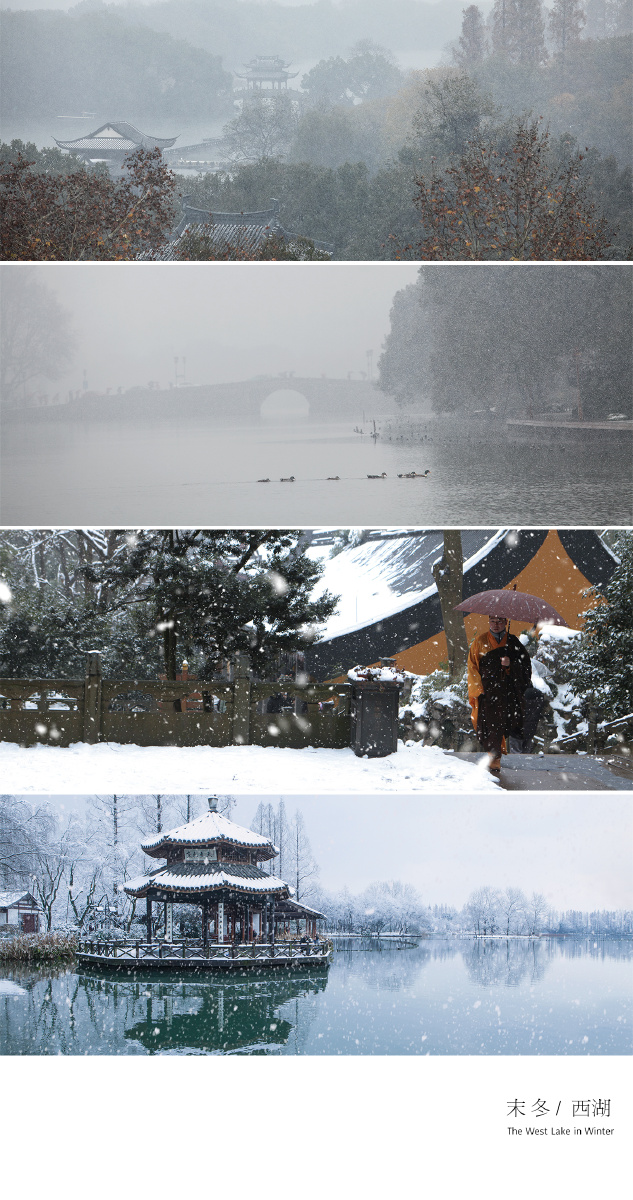 春夏秋冬,四时西湖,一场江南梦. - 陈帆fotochen - 图虫