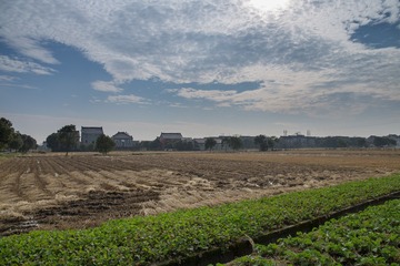 View 4