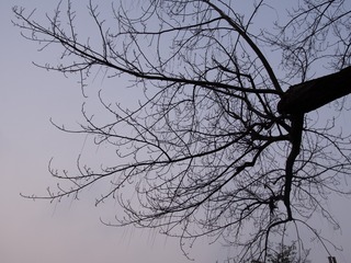 594581