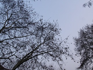 594591
