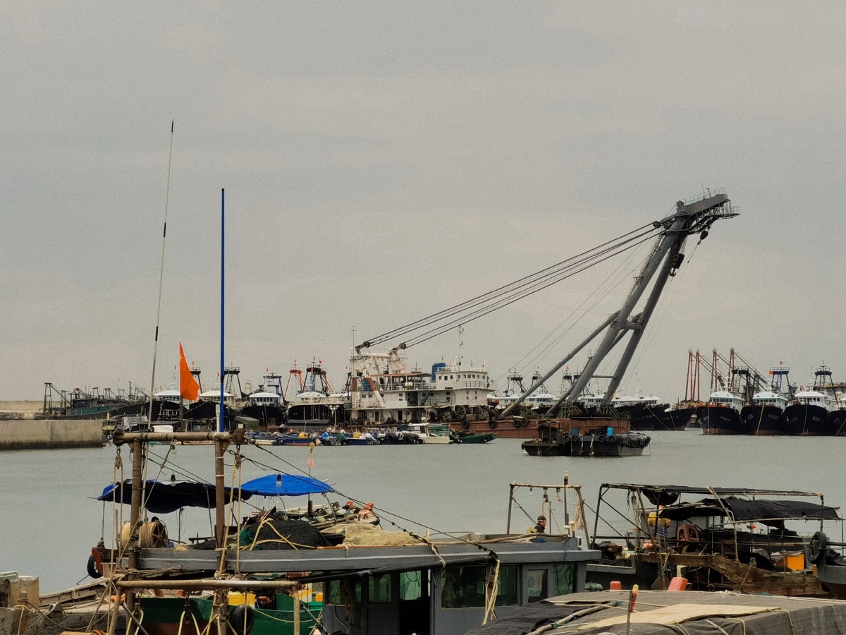 隐秘的角落之湛江草潭渔港