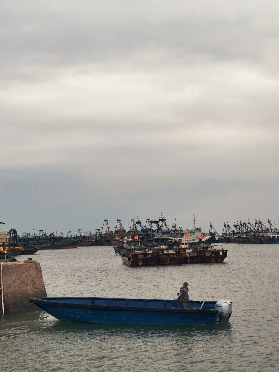 隐秘的角落之湛江草潭渔港