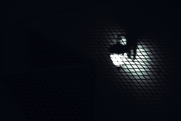 001
