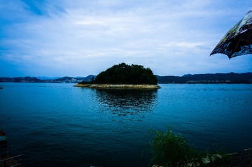 DSC00265.jpg
