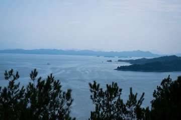DSC00285.jpg
