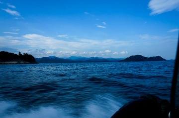 DSC00302.jpg