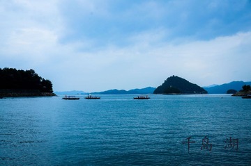 DSC002740.jpg