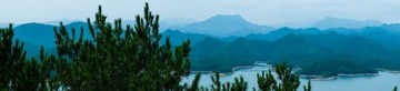 DSC00288.jpg