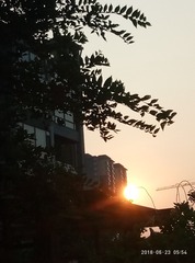 360306