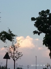 155046
