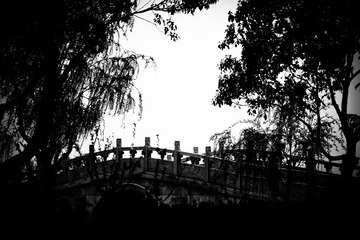 光与影 (2).jpg