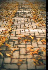 路