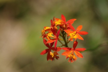 IMGP5997.JPG