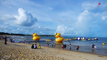 IMGP9991.jpg