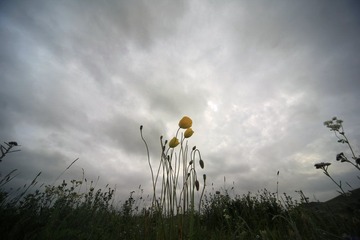 1N6A6289.jpg