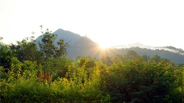 DSC06819_