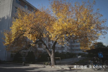 46 秋