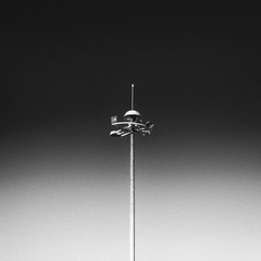 _DSC0784