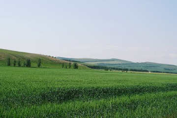 910768