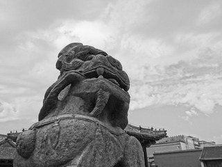 DSC00713.JPG