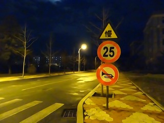 DSC00648.JPG