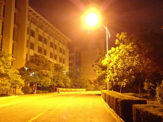 DSC00815.JPG