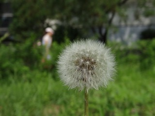 DSC00855.JPG