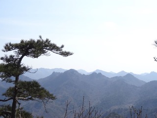 DSC00463.JPG