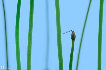 荷06