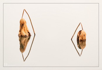 _DSC3150-编辑
