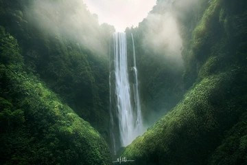 心之泉