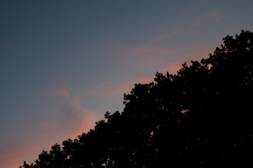 1276479