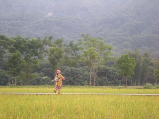 23B19385-ED18-46E4-A0E1-FC3627753CA5/L0/001