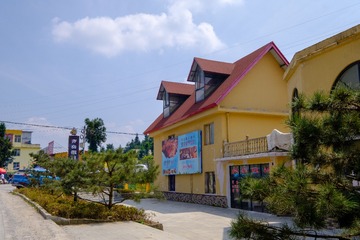 _DSF0677