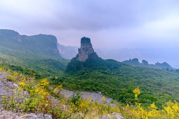 _DSF1857