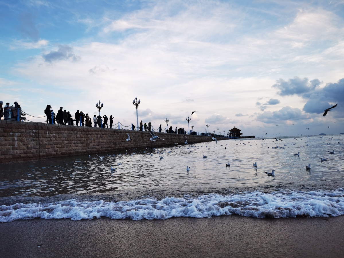 今儿傍晚的青岛海边