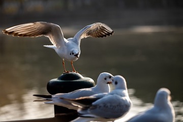 E226B715-DD31-4A7F-913A-7FA8C7900850/L0/001
