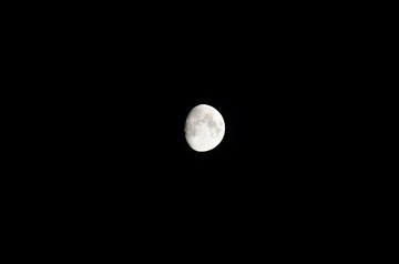 _DSC1420
