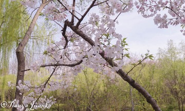 FD073B32-E654-447C-A109-26C7DFFCF583/L0/001