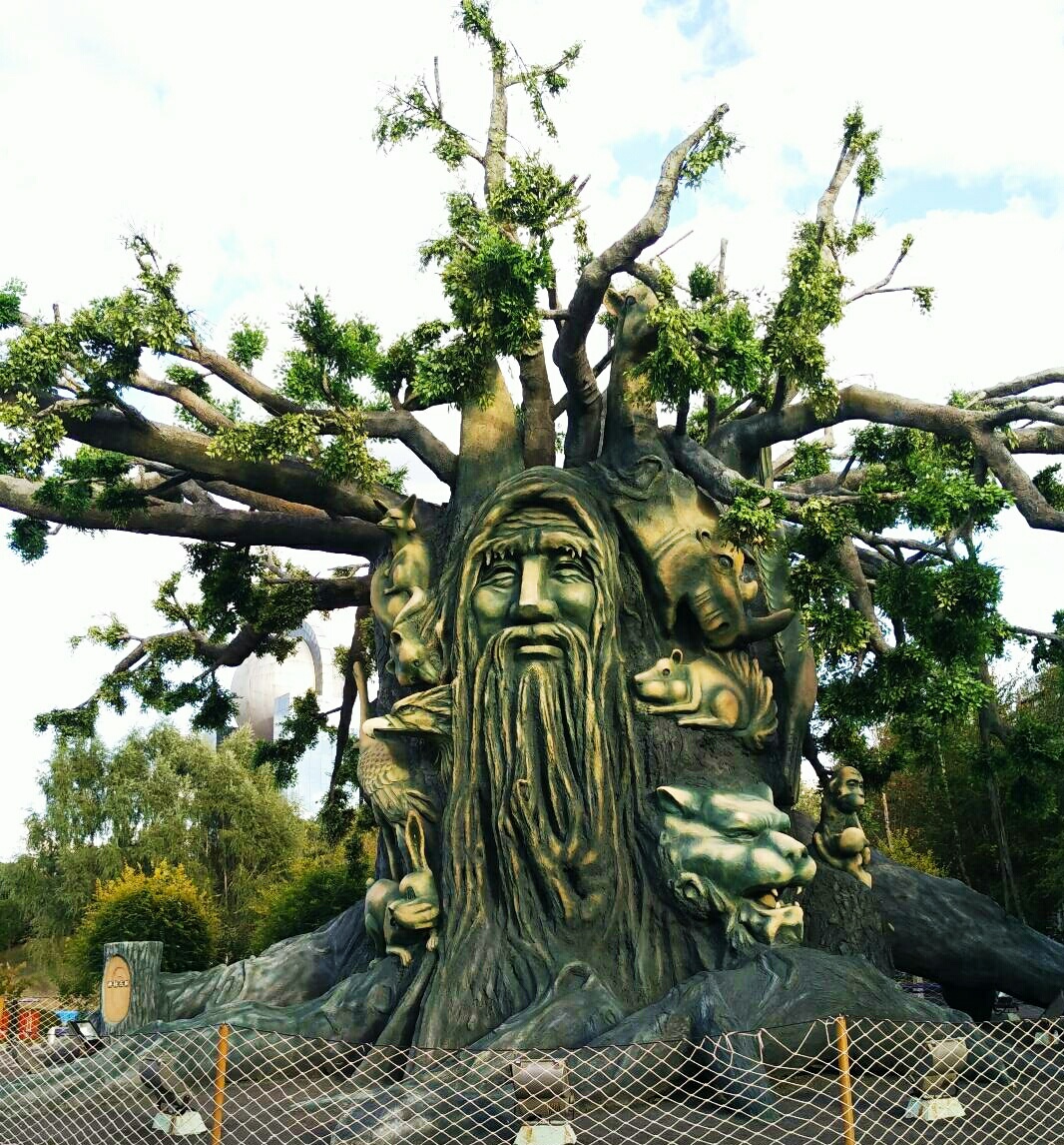 树老人 - soulmateyou - 图虫网 - 优质摄影师交流社区