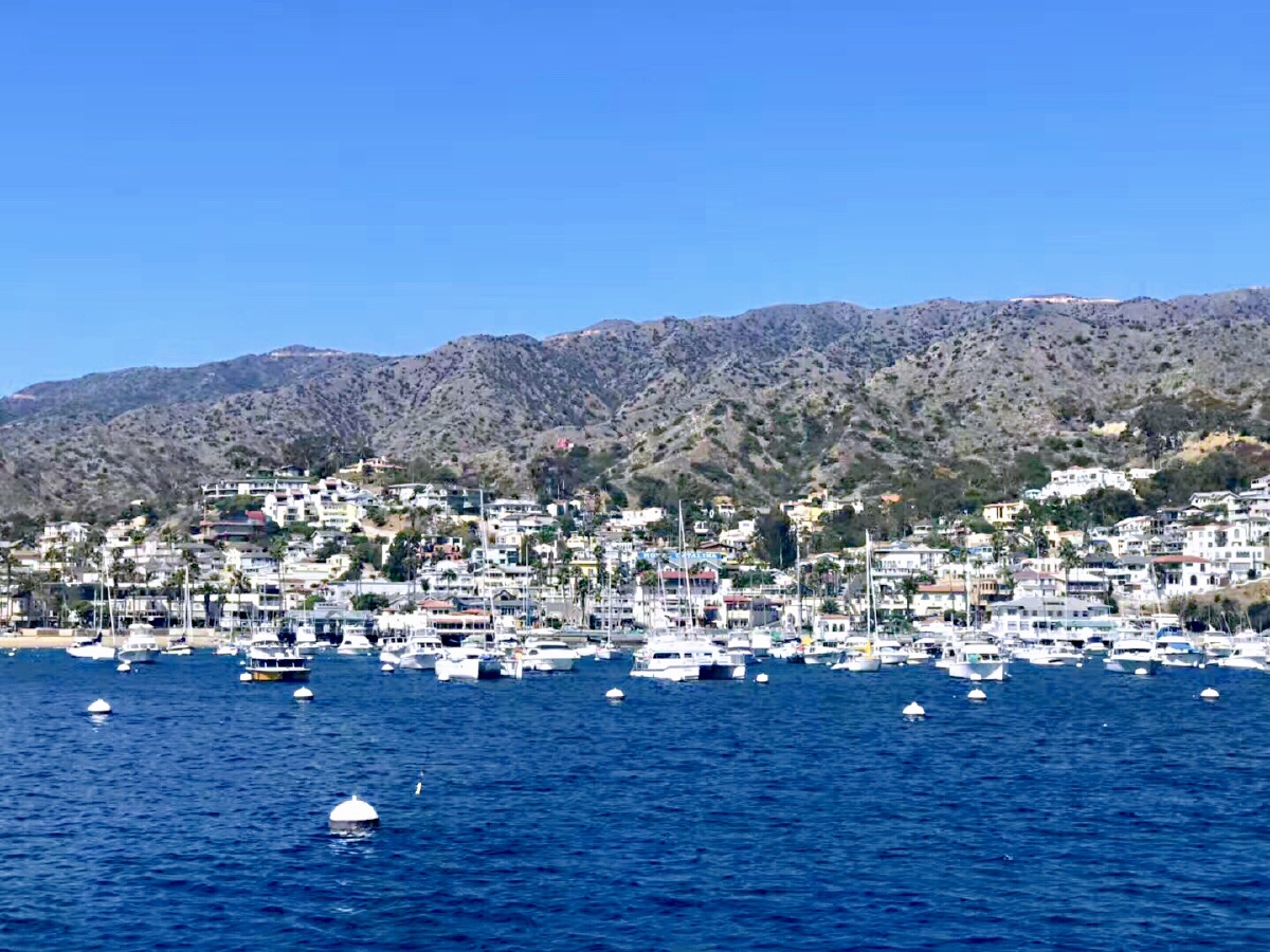 美丽迷人的卡塔琳娜岛catalina island