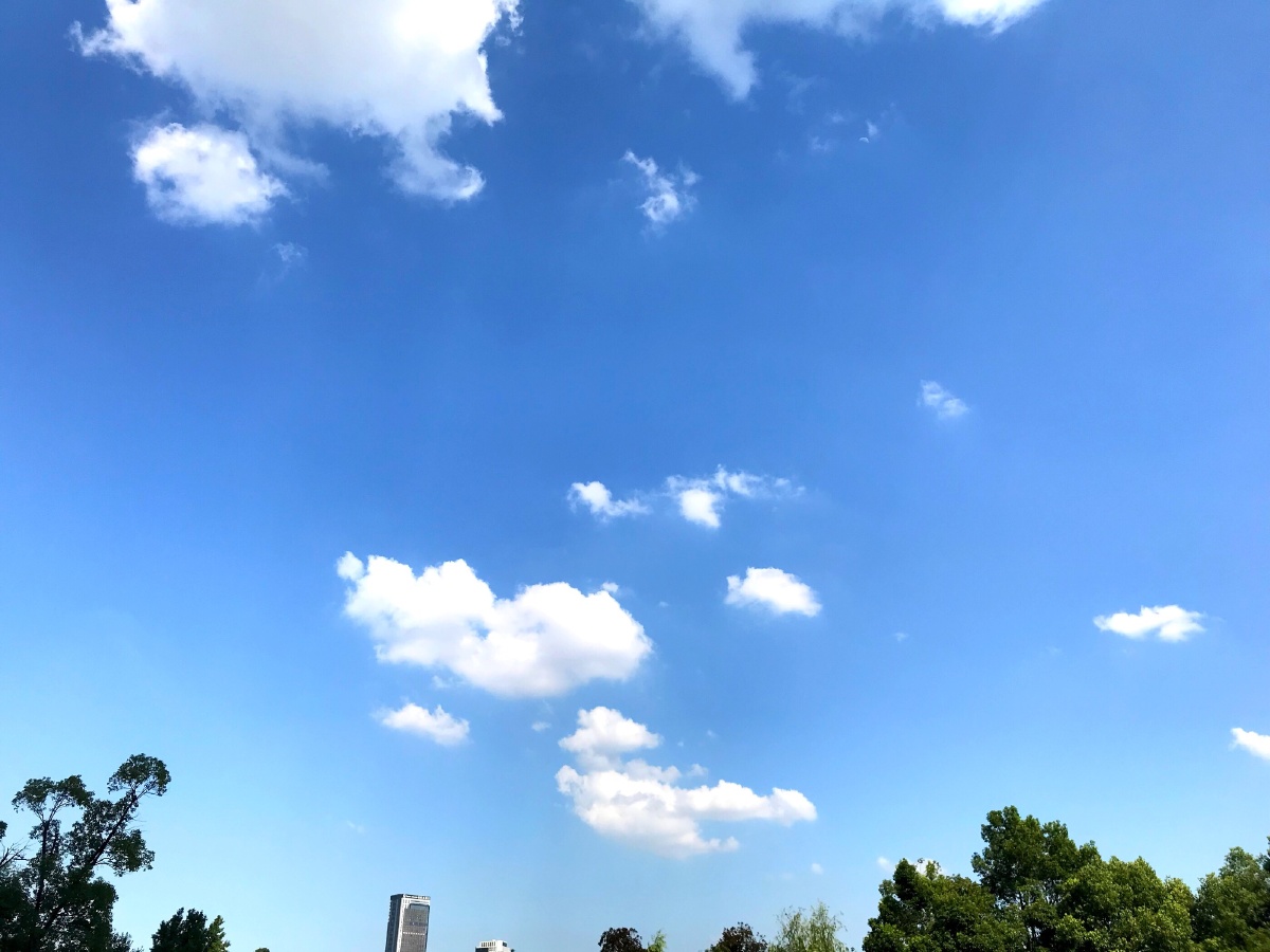 七月的天空