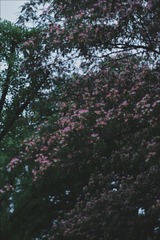 1187737