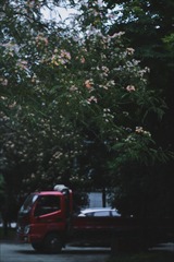 1187735