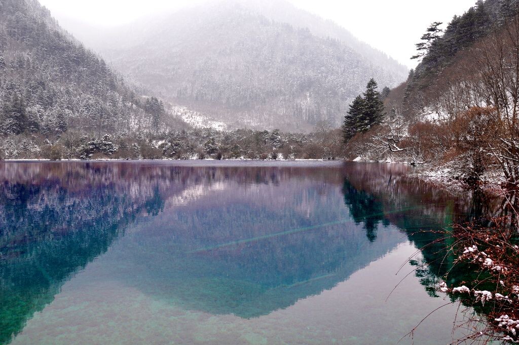 火花海
