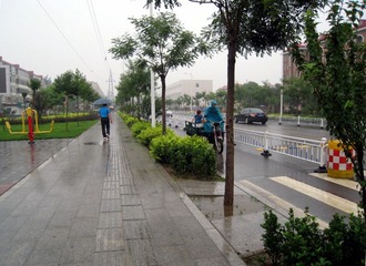 IMG_0011.jpg