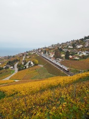 2014-11-11 07-51-07