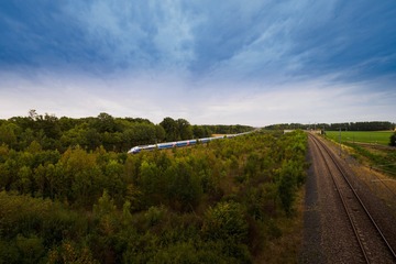 P8082858_resize