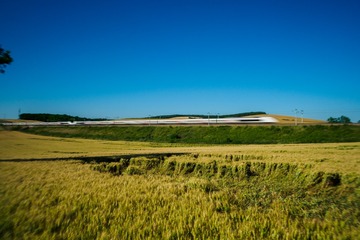 P6181109